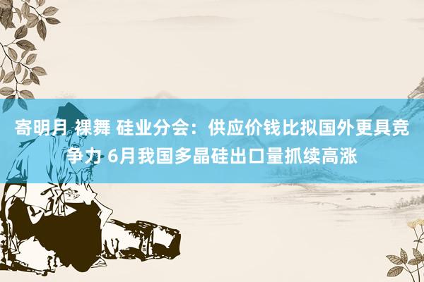 寄明月 裸舞 硅业分会：供应价钱比拟国外更具竞争力 6月我国多晶硅出口量抓续高涨