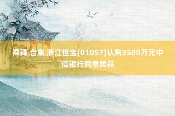 裸舞 合集 浙江世宝(01057)认购3500万元中信银行同意居品