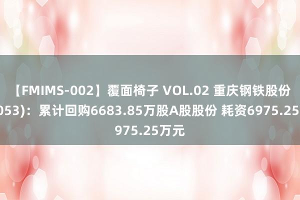 【FMIMS-002】覆面椅子 VOL.02 重庆钢铁股份(01053)：累计回购6683.85万股A股股份 耗资6975.25万元