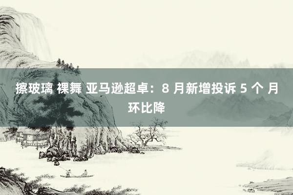 擦玻璃 裸舞 亚马逊超卓：8 月新增投诉 5 个 月环比降