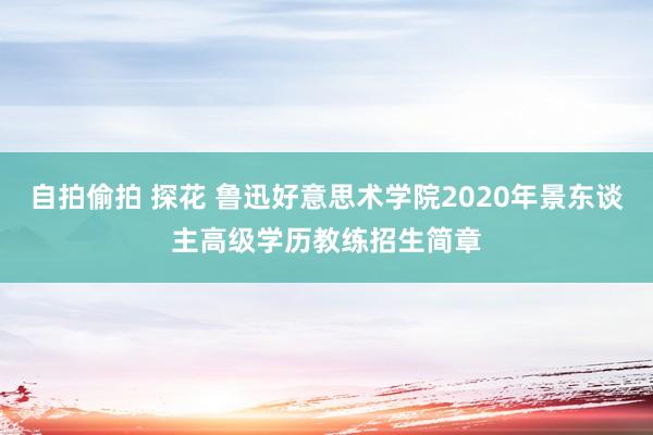 自拍偷拍 探花 鲁迅好意思术学院2020年景东谈主高级学历教练招生简章