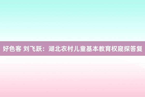 好色客 刘飞跃：湖北农村儿童基本教育权窥探答复